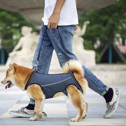 pet collar – 6