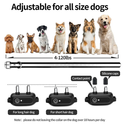 pet collar – 8
