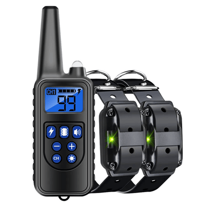 pet collar – 3