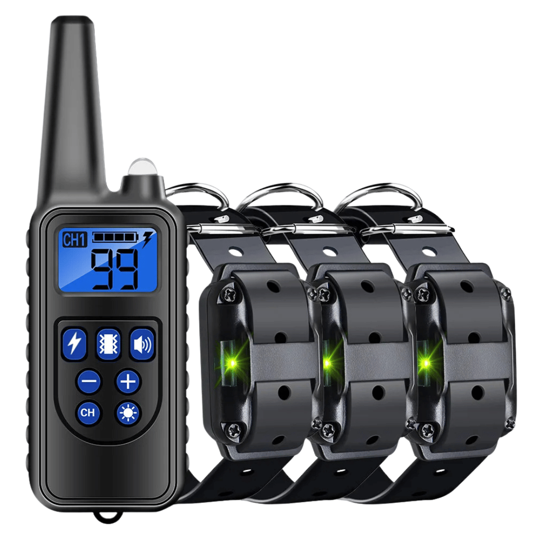 pet collar – 4