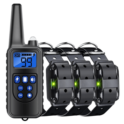 pet collar – 4