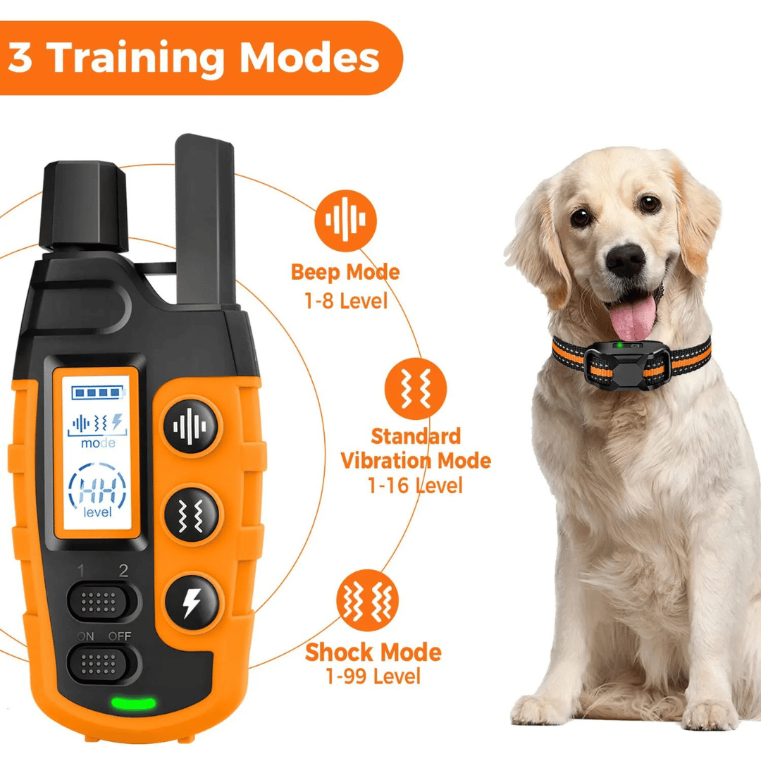 pet collar – 6