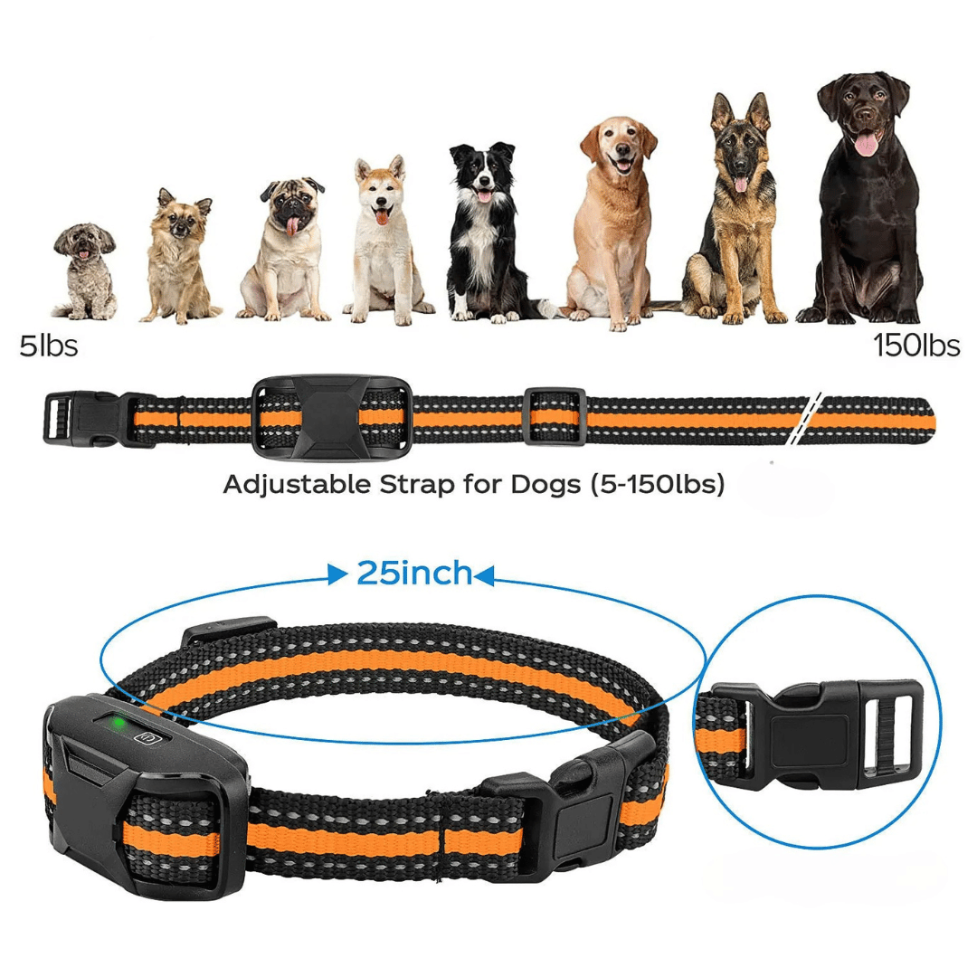 pet collar – 8
