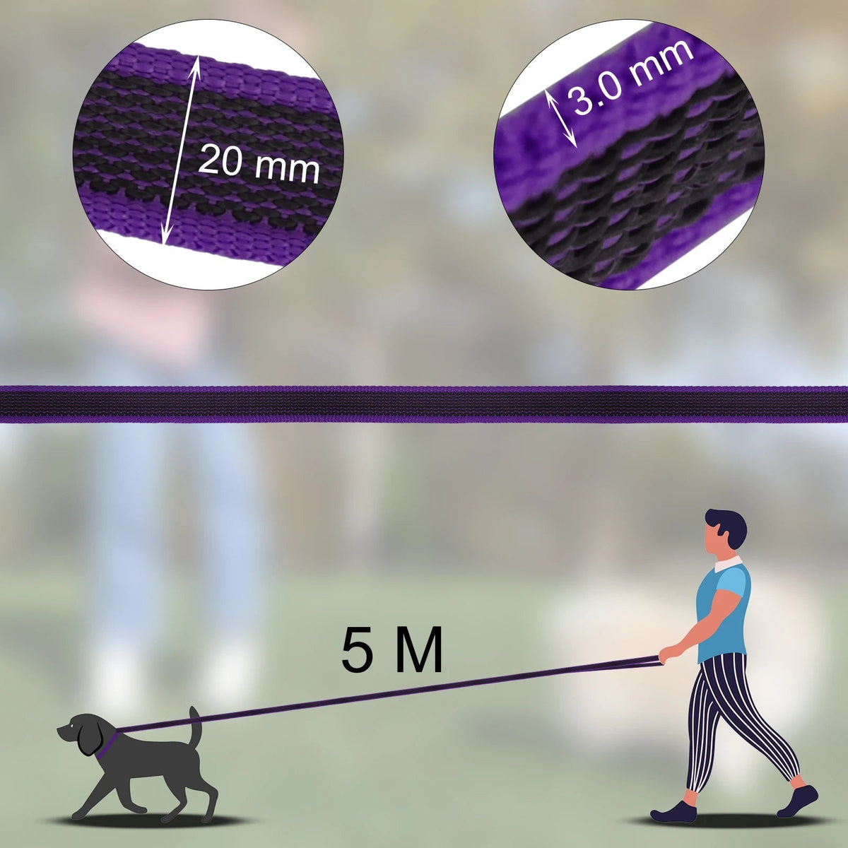 pet collar – 20