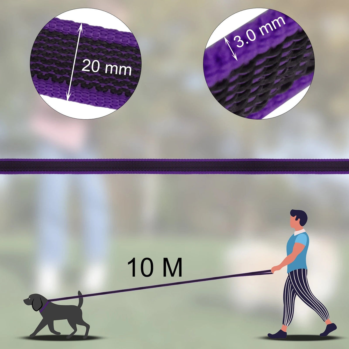 pet collar – 22