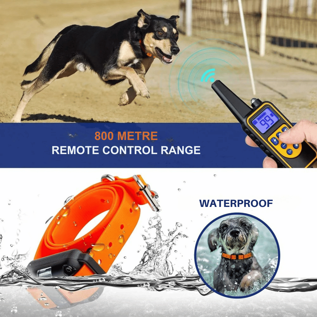 pet collar – 3