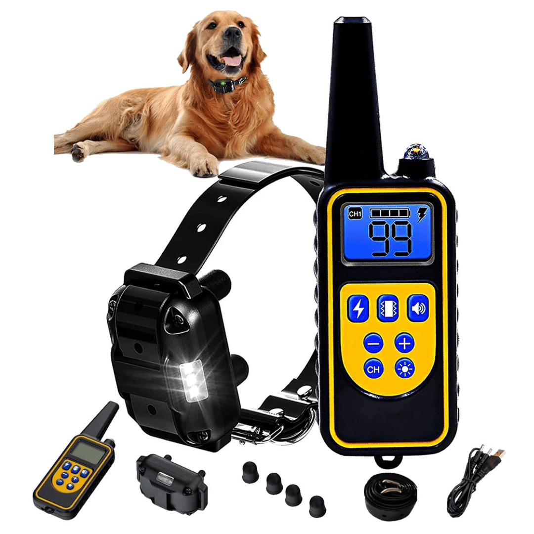 pet collar – 4
