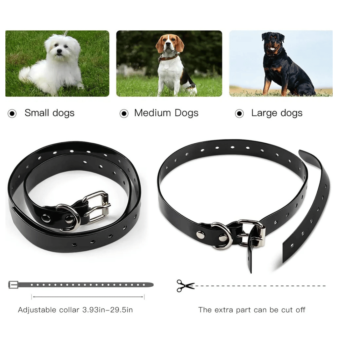 pet collar – 6