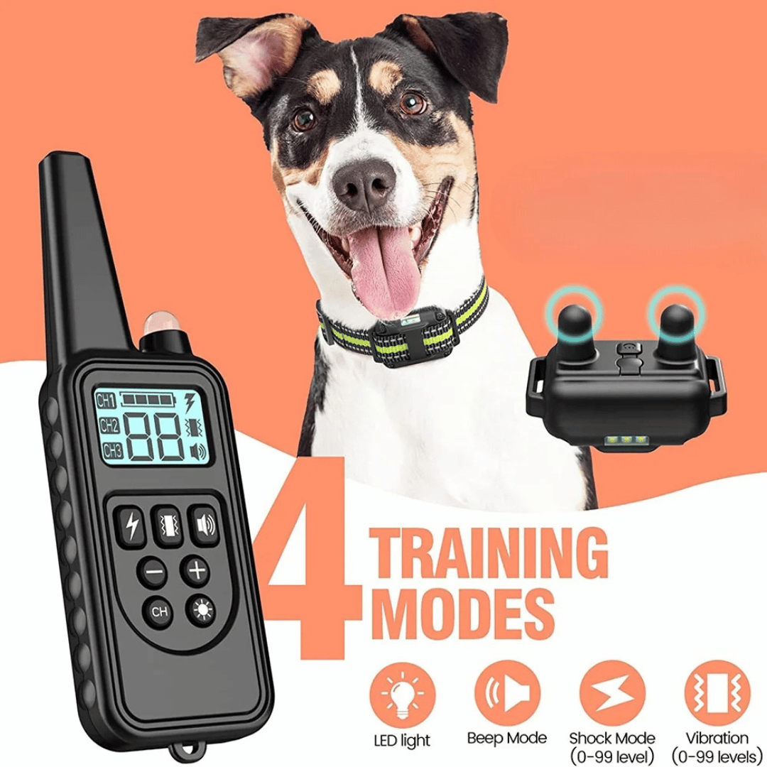 pet collar – 8