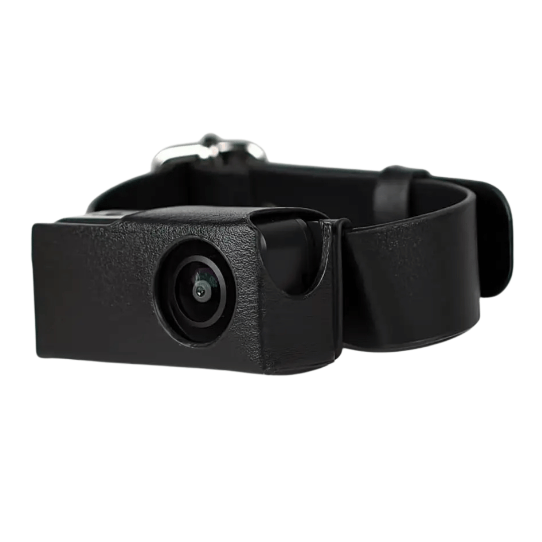 pet collar – 2