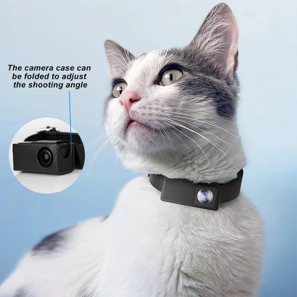 pet collar – 5