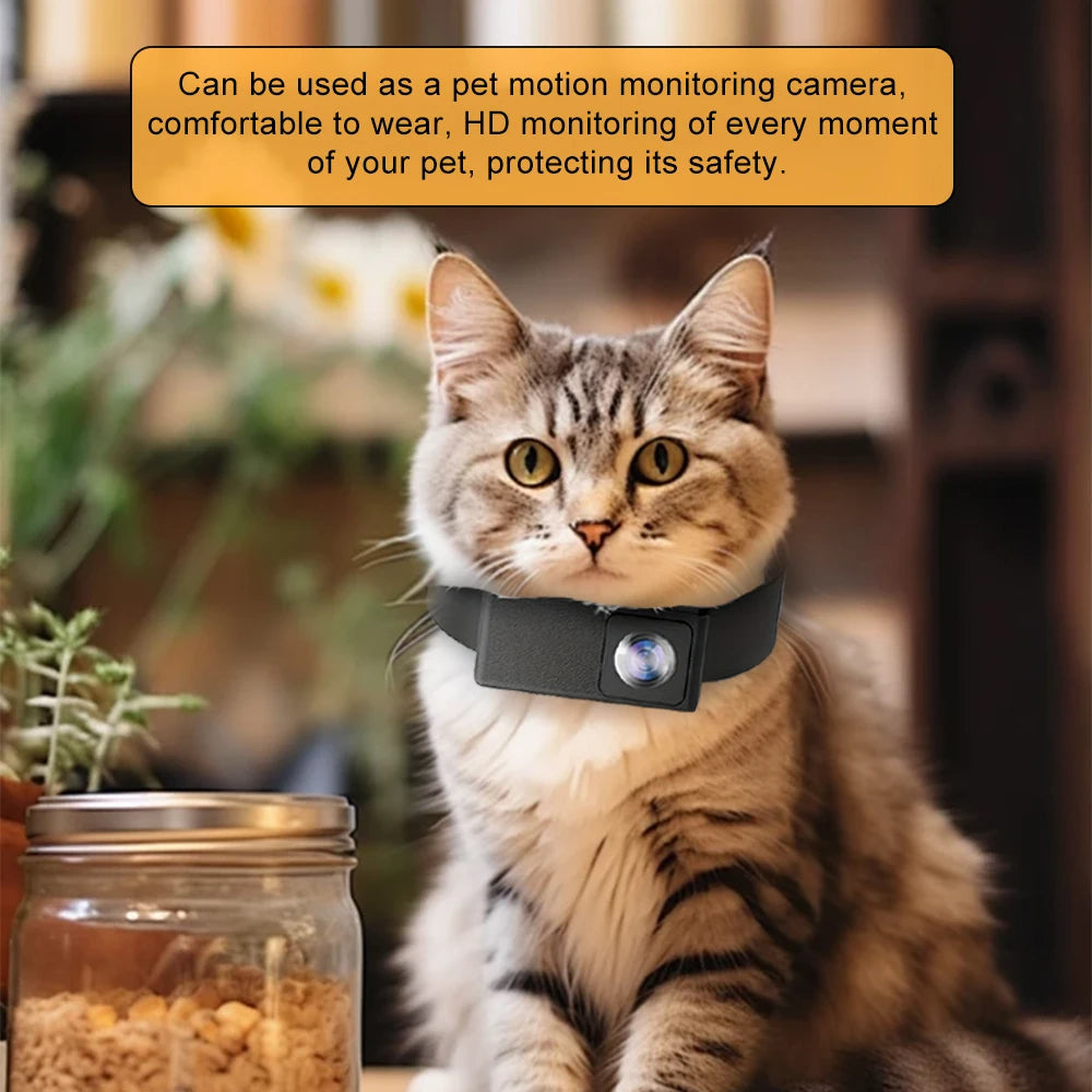 pet collar – 8