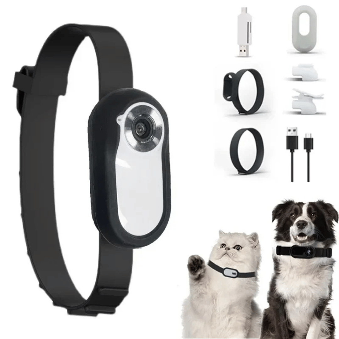 pet collar – 15