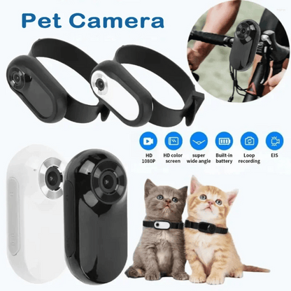 pet collar – 17