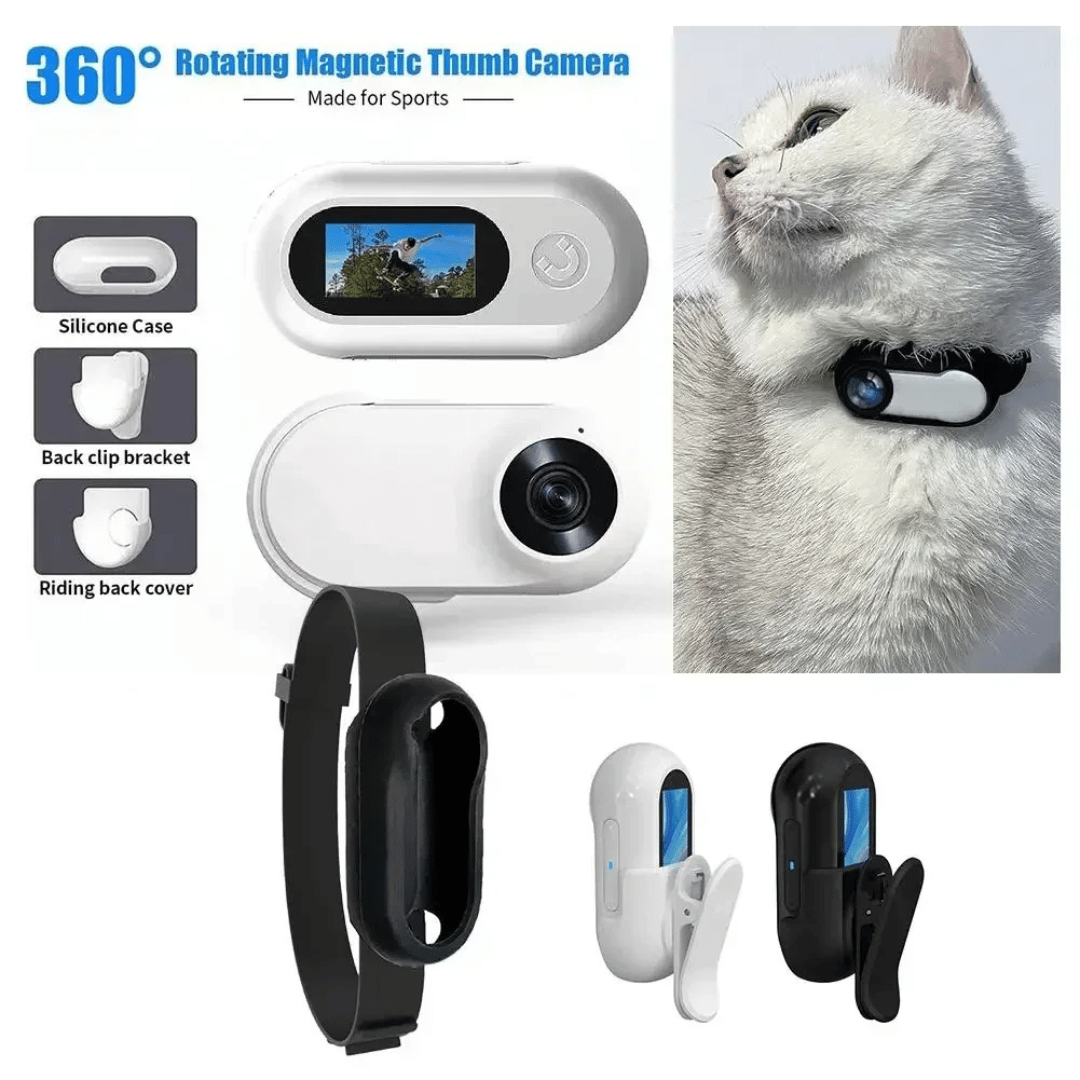pet collar – 22