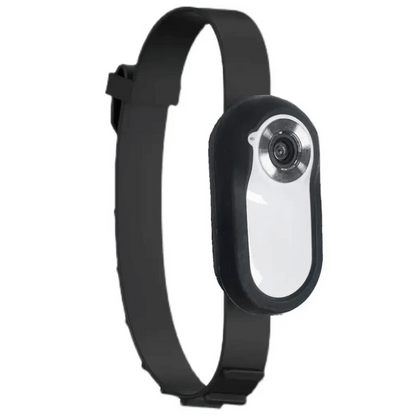 pet collar – 3