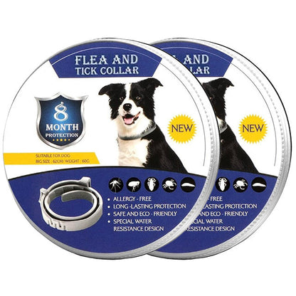 pet collar – 17
