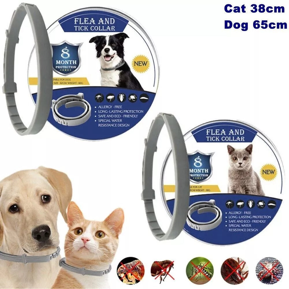 pet collar – 2