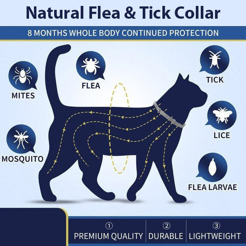 pet collar – 5