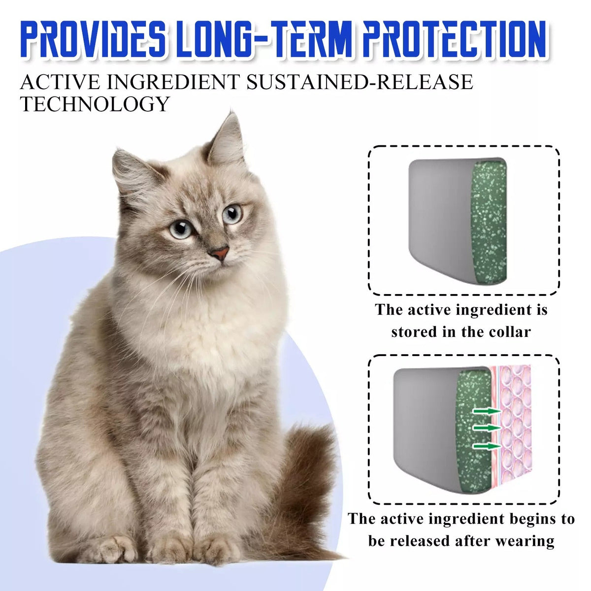 pet collar – 6