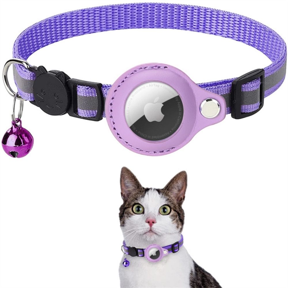 pet collar – 10