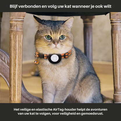 pet collar – 3