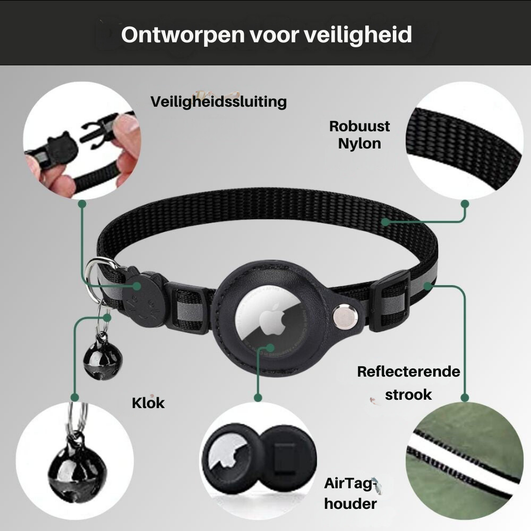 pet collar – 4