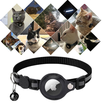 pet collar – 6