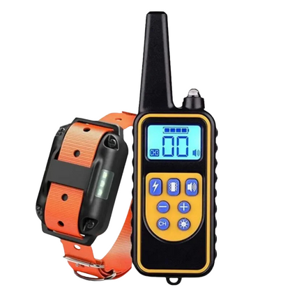 pet collar – 4