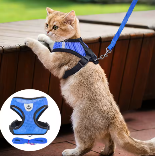 pet collar