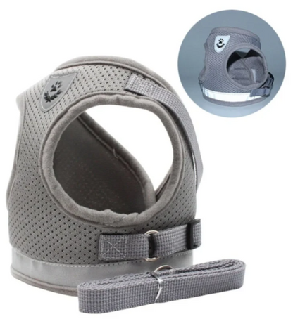 pet collar – 2
