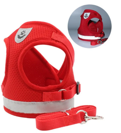 pet collar – 3