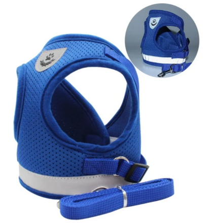 pet collar – 4