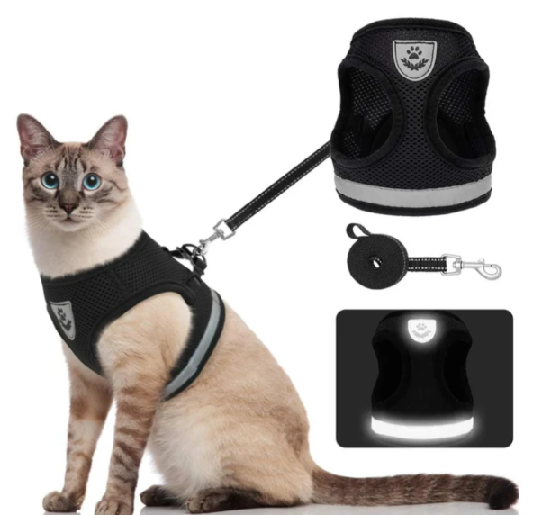 pet collar – 5