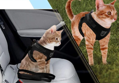 pet collar – 6