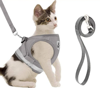 pet collar – 7