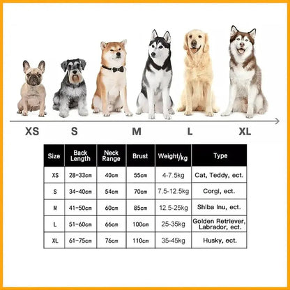 pet grooming – 2