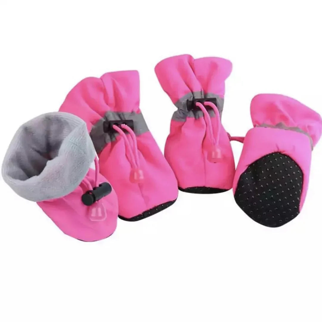 pet grooming – 2