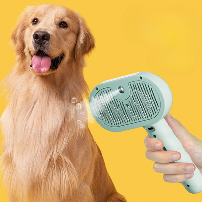 pet grooming – 3