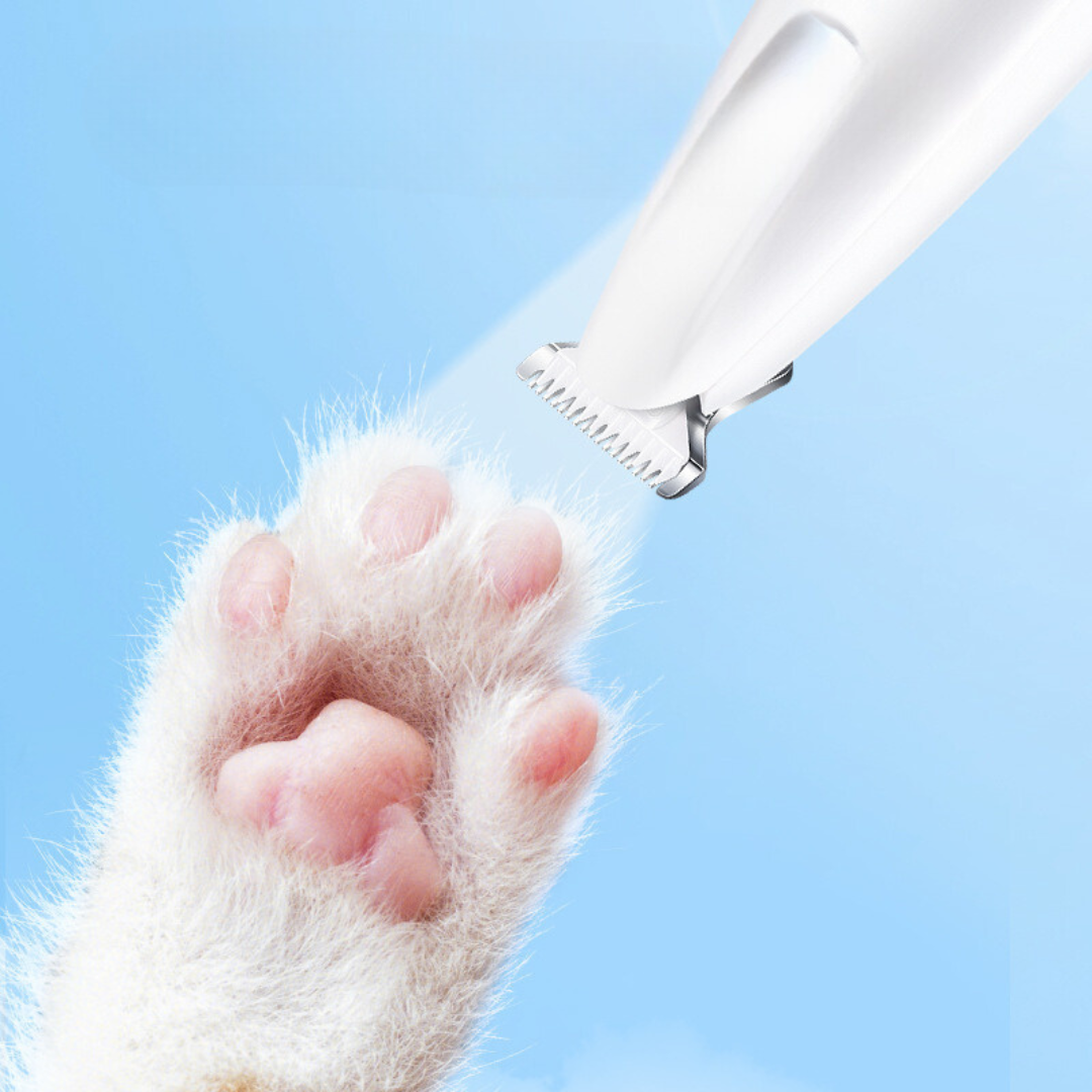 pet grooming – 4