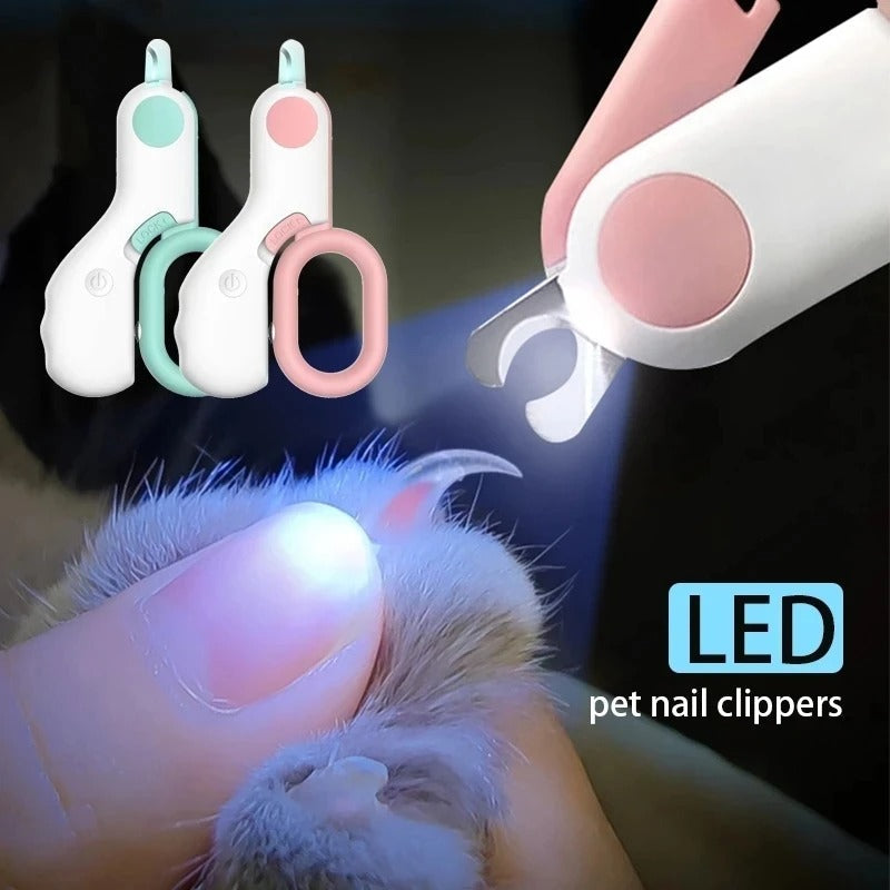 pet grooming