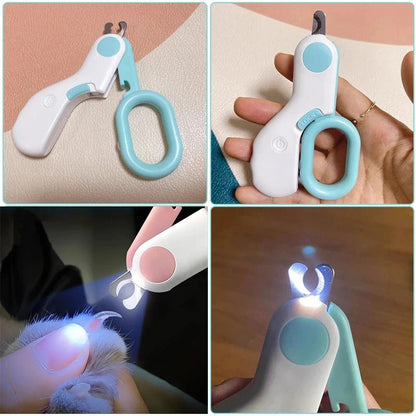 pet grooming – 4