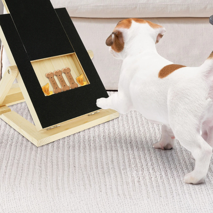 pet grooming