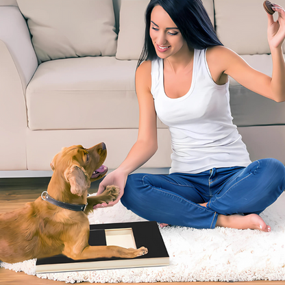 pet grooming