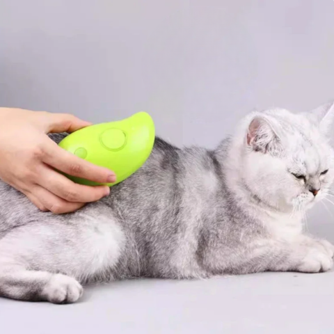 pet grooming