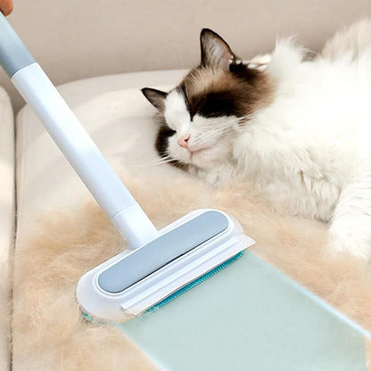 pet grooming
