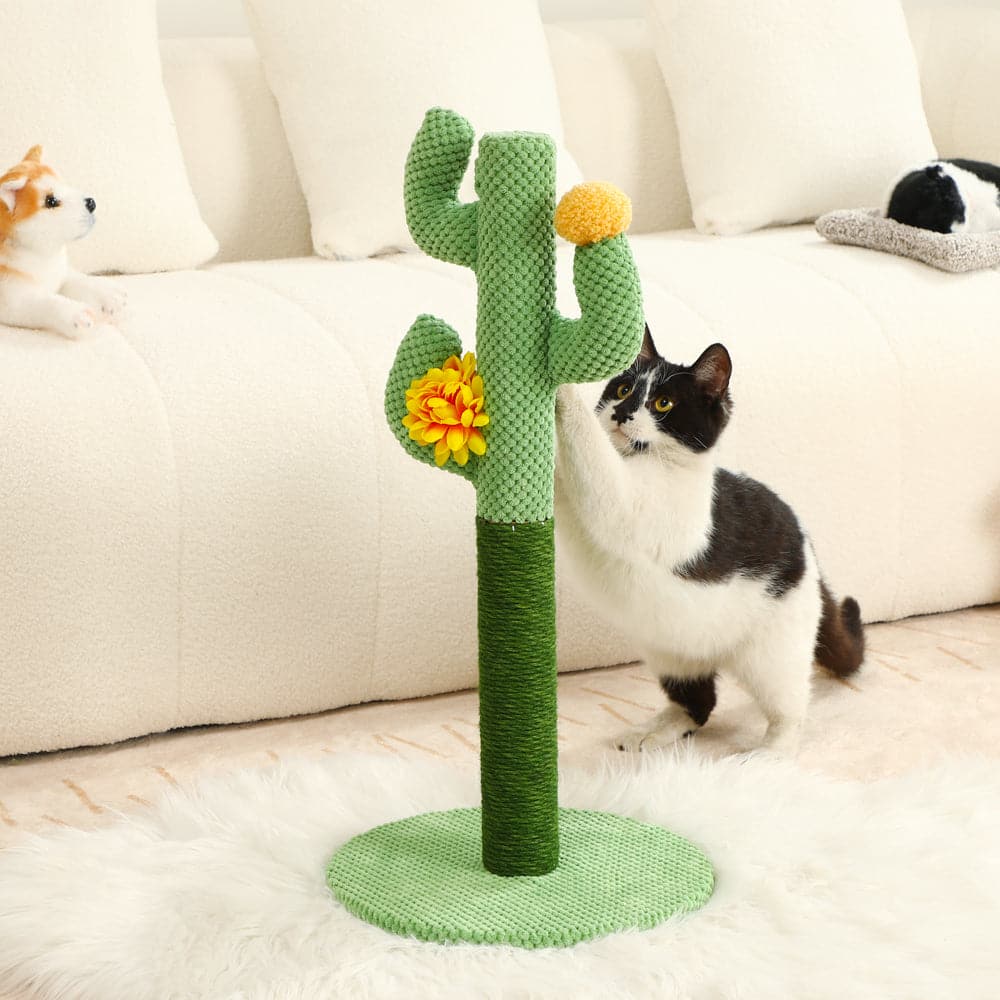 pet grooming