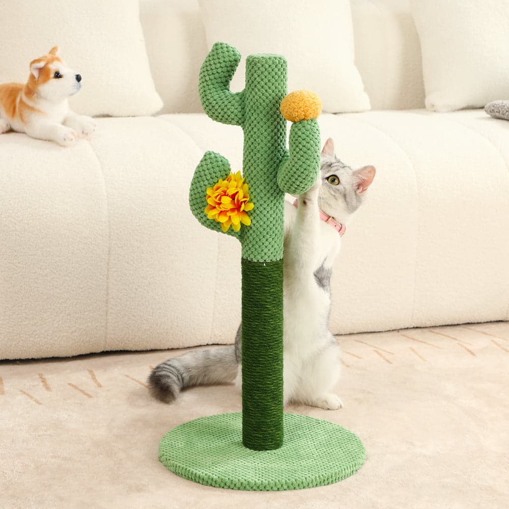 pet grooming – 2