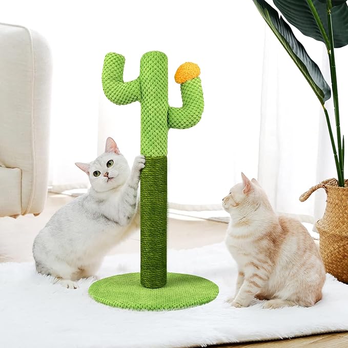 pet grooming – 3