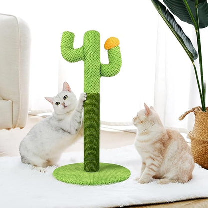 pet grooming – 3